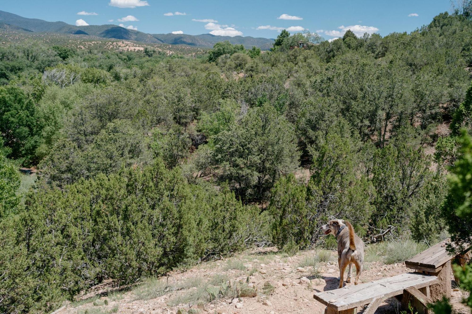 Tesuque Outpost Casita E Best Views In Santa Fe Exterior photo